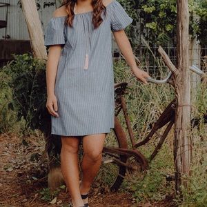 Brand new charming Charles dress